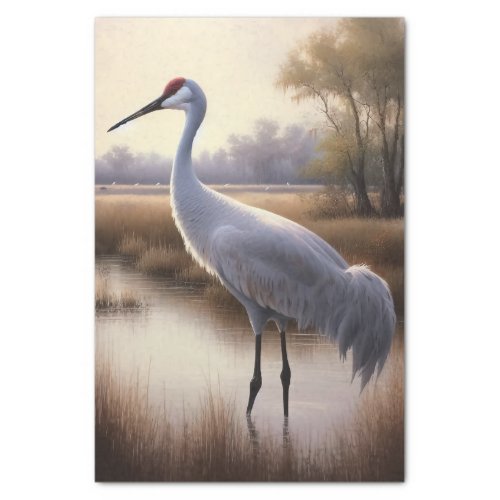 Sandhill Crane Oil Painting Decoupage Tissue Paper