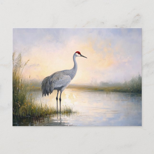 Sandhill Crane Painting Postcard (Front)