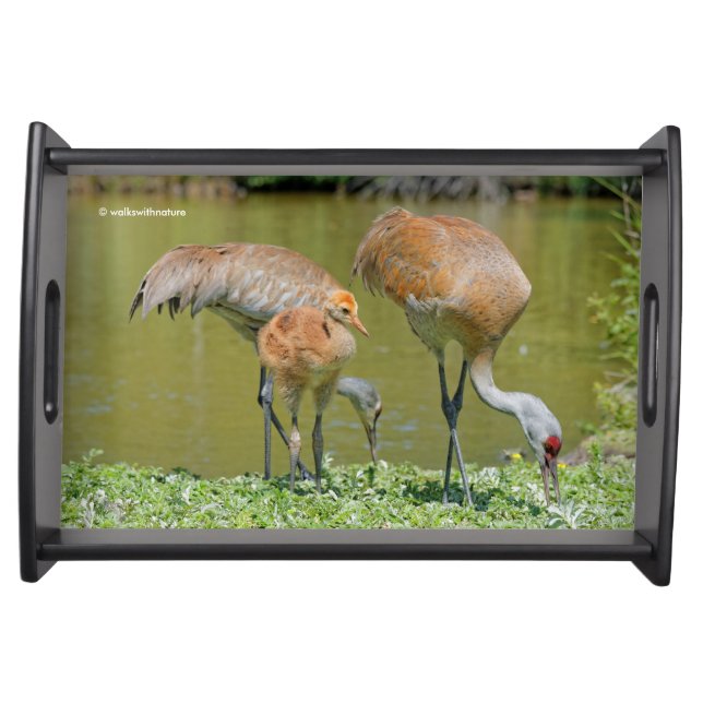 Sandhill Crane Parents and Chick Serving Tray (Front)