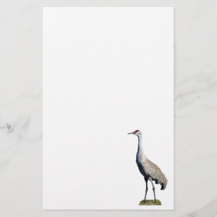 Sandhill Crane Photo Letterhead Paper
