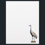 Sandhill Crane Photo Letterhead Paper<br><div class="desc">Have some fun with your notes by adding this Sandhill Crane. It's sure to please your bird lovers.</div>