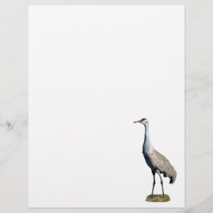 Sandhill Crane Photo Letterhead Paper
