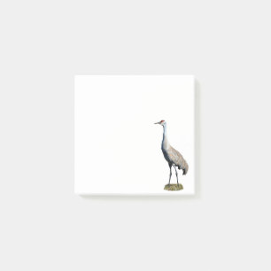 Sandhill Crane Photo Post-it Notes