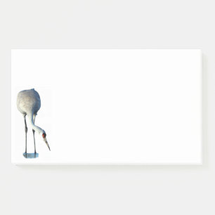 Sandhill Crane Photo Stationery 10x6 Notes