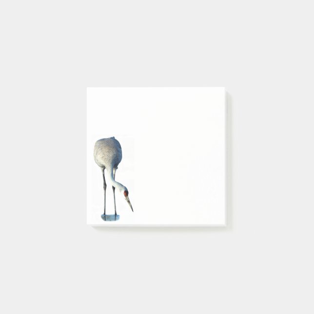 Sandhill Crane Photo Stationery 3x3 Notes (Front)