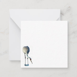 Sandhill Crane Photo Stationery Flat Note Cards