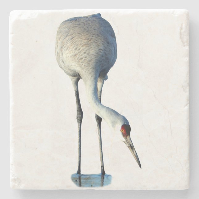 Sandhill Crane Photo Stone Coaster (Front)