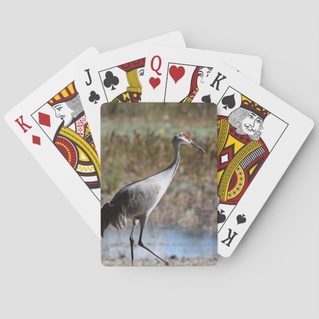 Sandhill Crane Poker Cards (Back)