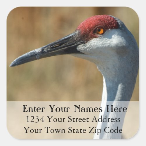 Sandhill Crane Return Address Label