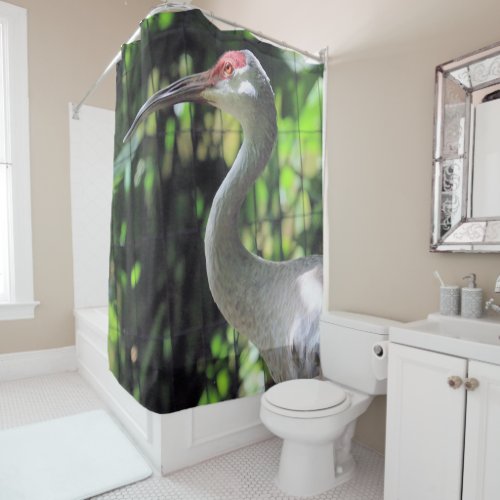 Sandhill crane shower curtain