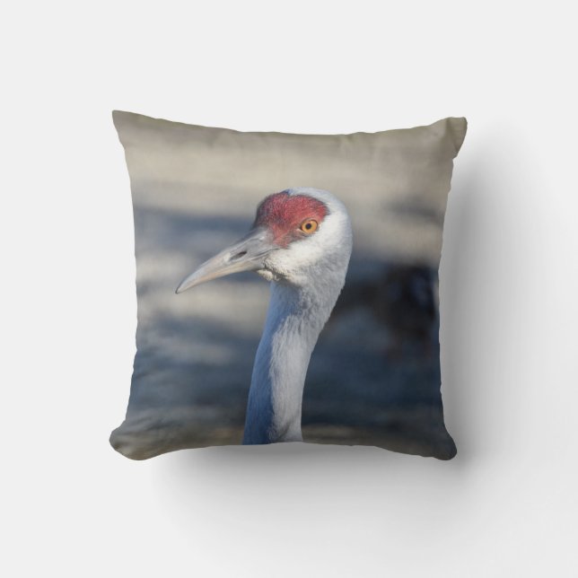 Sandhill Crane Throw Pillow (Front)
