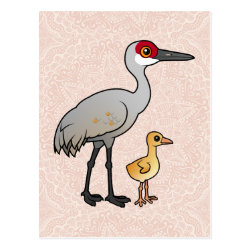 Sandhill Crane with Chick Postcard