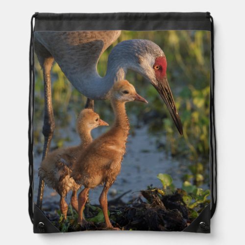 Sandhill crane with chicks Florida Drawstring Bag