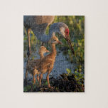 Sandhill crane with chicks, Florida Jigsaw Puzzle<br><div class="desc">Sandhill Crane with both colts on nest, Grus canadensis, Florida | Richard & Susan Day / SuperStock.com</div>
