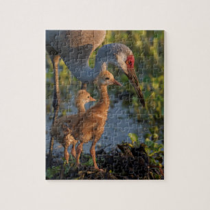 Sandhill crane with chicks, Florida Jigsaw Puzzle