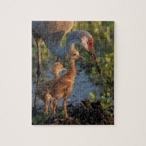 Sandhill crane with chicks Florida Jigsaw Puzzle