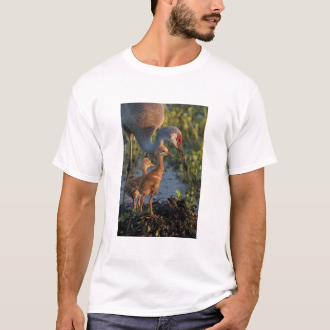 Sandhill crane with chicks, Florida T-Shirt (Front)