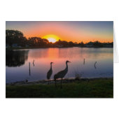 Sandhill cranes at sunset (Front Horizontal)