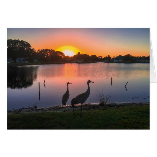 Sandhill cranes at sunset cards (Front Horizontal)