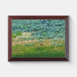 Sandhill Cranes Award Plaque