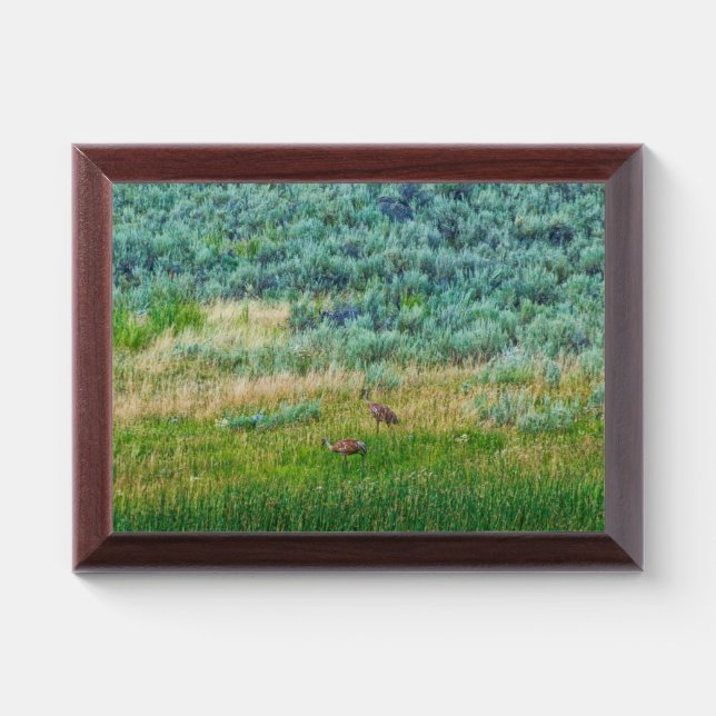 Sandhill Cranes Award Plaque (Horizontal)