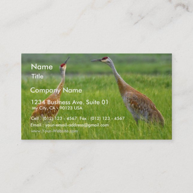 Sandhill Cranes Business Card (Front)