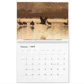 Sandhill Cranes Calendar (Feb 2025)