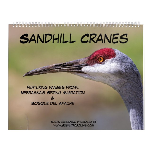 Sandhill Cranes Calendar (Cover)