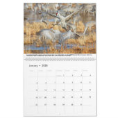 Sandhill Cranes Calendar (Jan 2025)