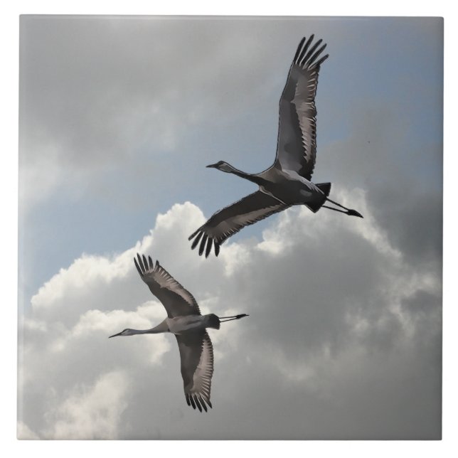 SANDHILL CRANES CERAMIC TILE (Front)