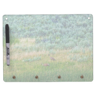 Sandhill Cranes Dry Erase Board With Keychain Holder