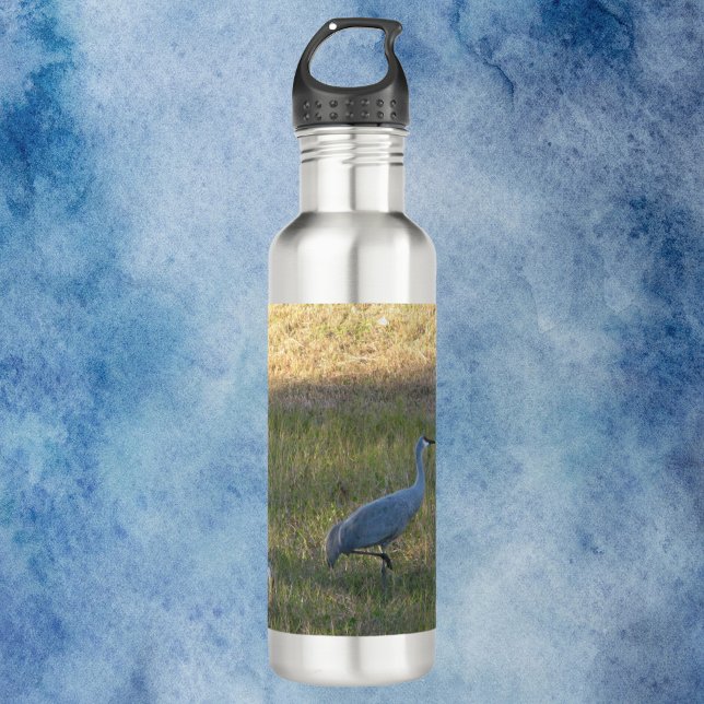 Sandhill Cranes Eating Grass Photograph Stainless Steel Water Bottle (A water bottle with a photograph of three sandhill crane birds eating grass.)