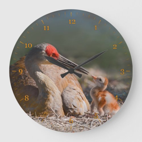 Sandhill cranes eye contact to its baby large clock