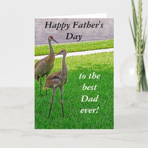 Sandhill Cranes _ Fathers Day _ Birthday Card