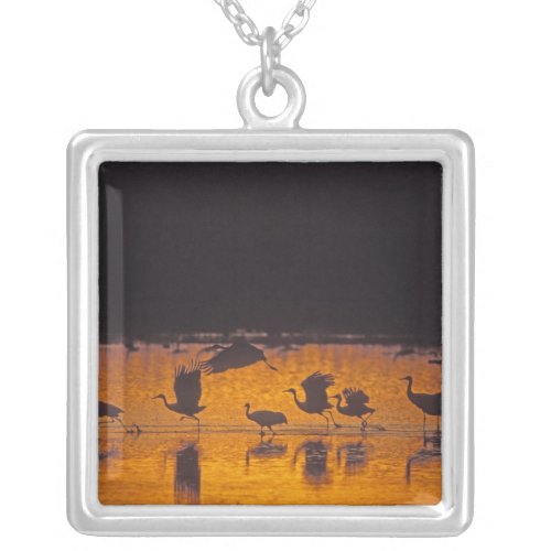 Sandhill Cranes Grus canadensis Bosque Del 2 Silver Plated Necklace