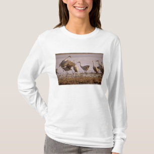 Sandhill Cranes Grus canadensis) Platte T-Shirt