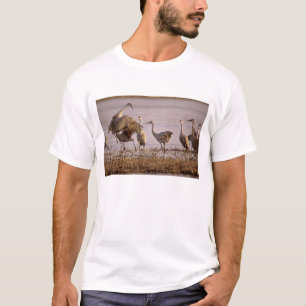 Sandhill Cranes Grus canadensis) Platte T-Shirt