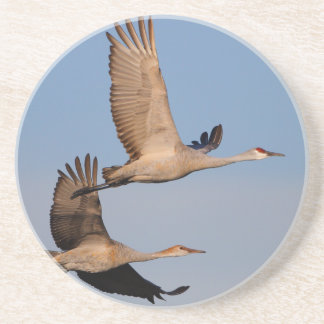 sandhill cranes in flight drink coaster