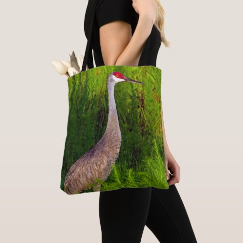 Sandhill Cranes in the Air and on the Ground Tote Bag