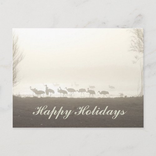 Sandhill Cranes in the Mist Happy Holidays Holiday Postcard