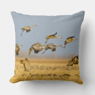 Sandhill cranes land in corn fields throw pillow