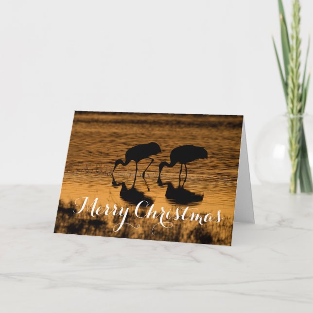 Sandhill Cranes, Merry Christmas Holiday Card (Front)