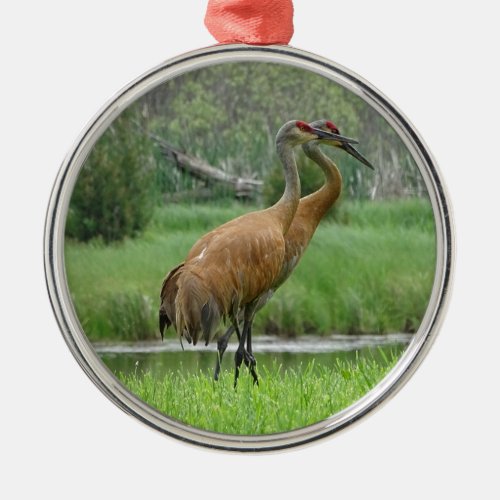 Sandhill Cranes Metal Ornament