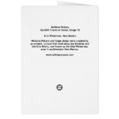 Sandhill Cranes, Mimbres Pottery Image 16 Card (Back)