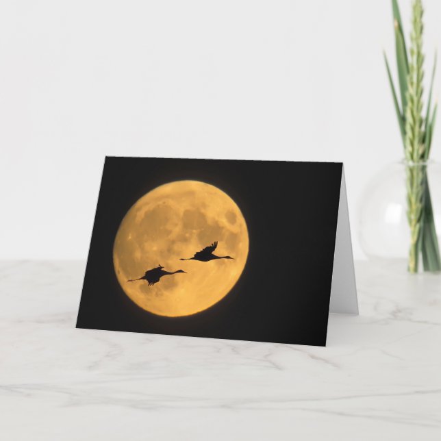 Sandhill Cranes | National Wildlife Reserve Card (Front)