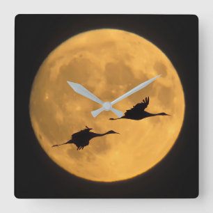 Sandhill Cranes National Wildlife Reserve Square Wall Clock