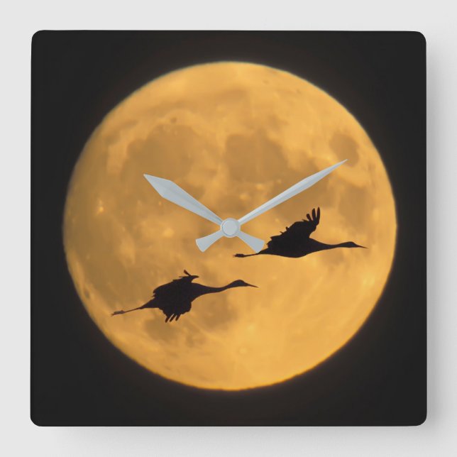 Sandhill Cranes | National Wildlife Reserve Square Wall Clock (Front)