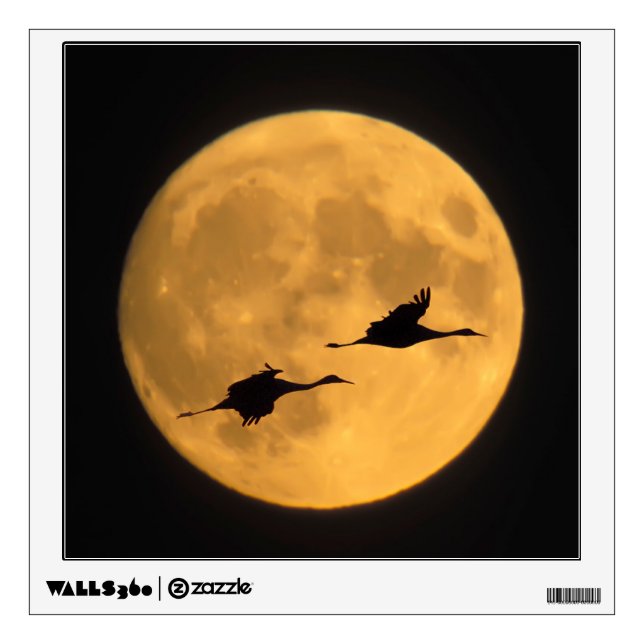 Sandhill Cranes | National Wildlife Reserve Wall Decal (Front)