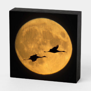 Sandhill Cranes National Wildlife Reserve Wooden Box Sign
