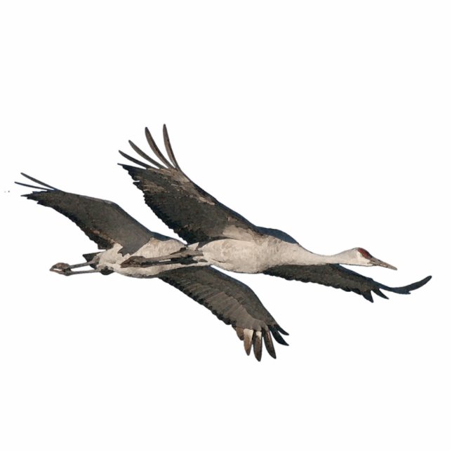 Sandhill Cranes Ornament (Front)
